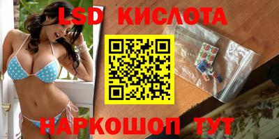 стаф Сланцы