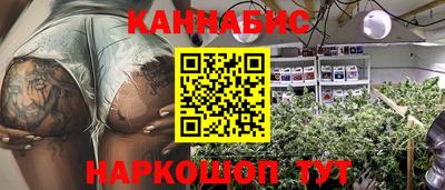 стаф Сланцы