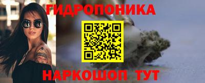 прущие грибы Славгород