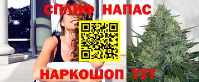 стаф Сланцы