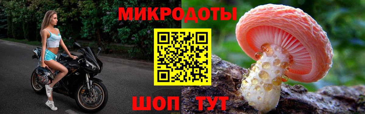Галлюциногенные грибы Psilocybine cubensis  где купить   Реж  Вход с VPN 